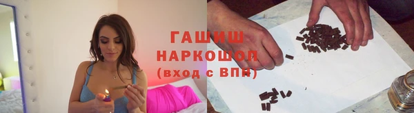 индика Дмитров