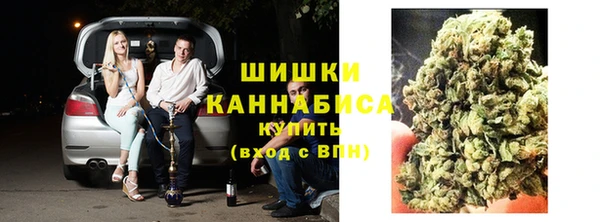 молекула духа Белая Холуница