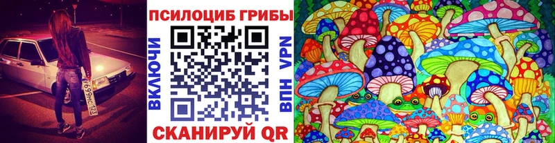 МЕГА ссылки  Курчатов  Галлюциногенные грибы Psilocybine cubensis 