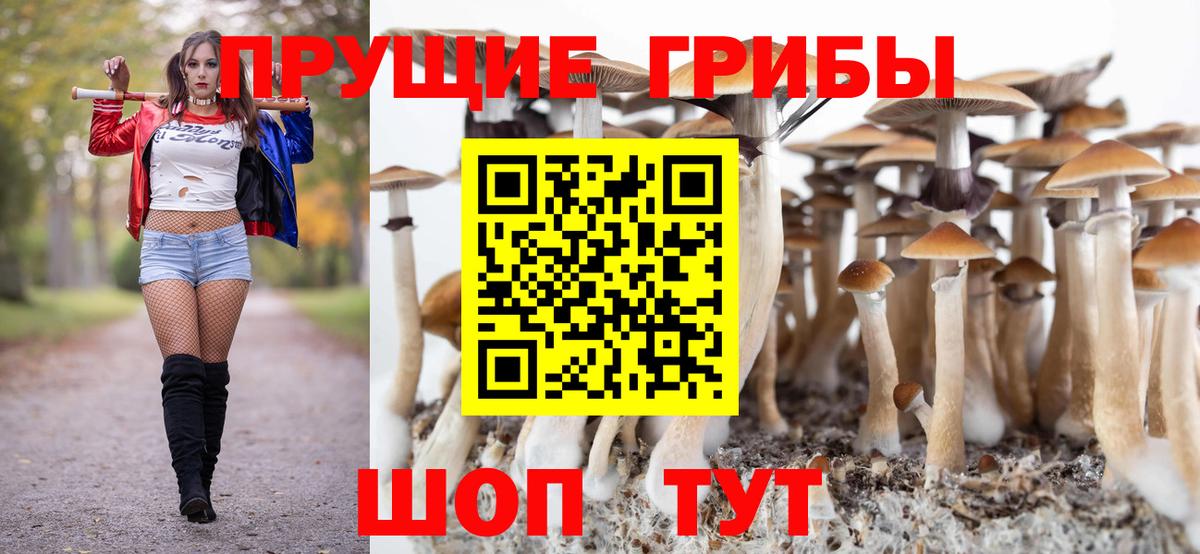 Галлюциногенные грибы Magic Shrooms  Псилоцибиновые грибы мицелий  Курчатов  Вход с VPN 
